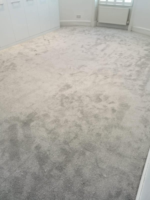 Pale grey bedroom carpet