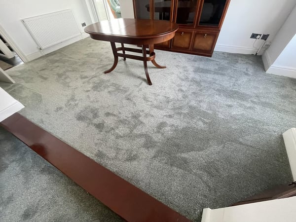 Soft sage lounge carpet