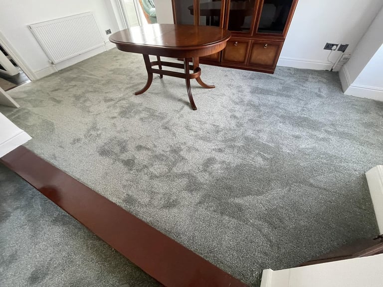Soft sage lounge carpet