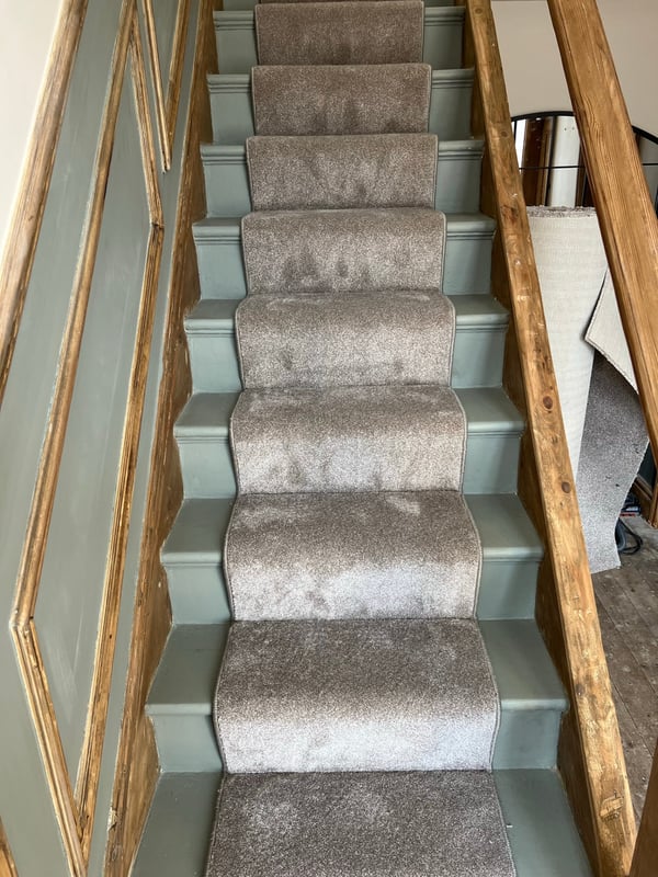 Bound grey runner, close up