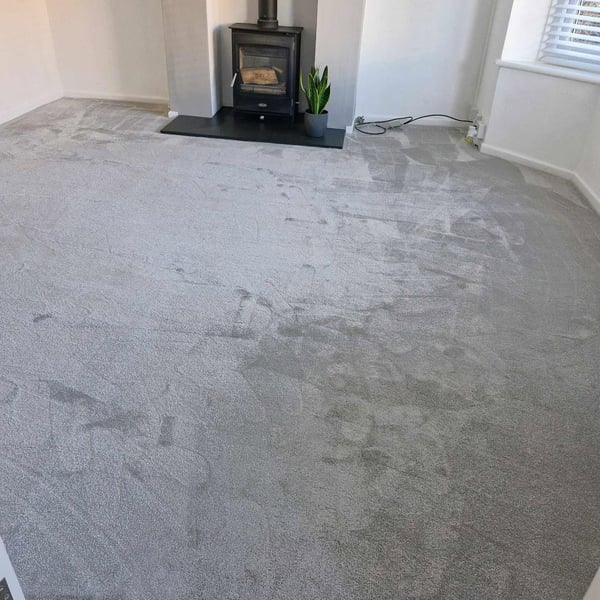 Silver grey lounge carpet